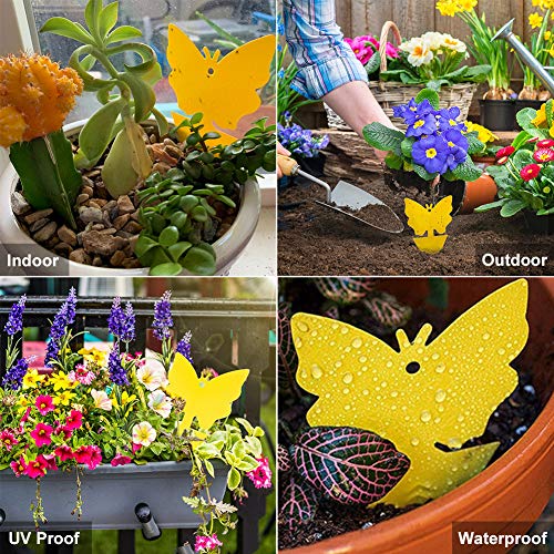 80 Pack Yellow Sticky Traps, Fruit Fly Fungus Gnat Trap for Indoor/Outdoor Use, Houseplant Sticky Bug Insect Catcher Glue Trappers
