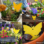 80 Pack Yellow Sticky Traps, Fruit Fly Fungus Gnat Trap for Indoor/Outdoor Use, Houseplant Sticky Bug Insect Catcher Glue Trappers
