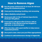 In The Swim Algaecide 60 Plus for Swimming Pools - Non-Metallic, Low Odor, Non-Foaming Algae Bloom Preventative - Chlorine Sanitizer Compatible - 1 Quart