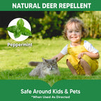 AMDEIUR Deer Repellent for Plants, Rabbit Repellent Outdoor, Deer Deterrent for Yard, Bunny Repellent, Deer Away, Keep Rabbits Out of Your Garden, Safe for Family, Pets and Plants, 8 Packs