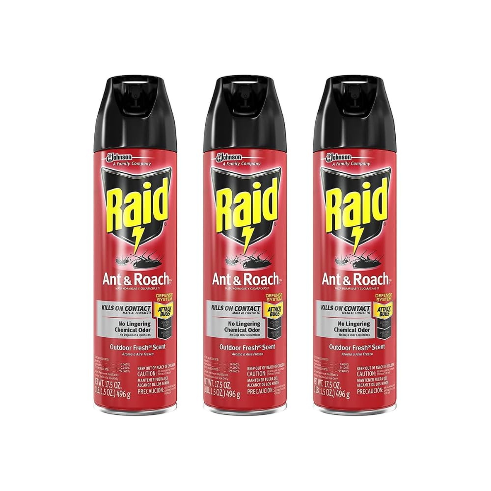 Raid Ant and Roach Killer 17.5 Ounce (Pack of 3)