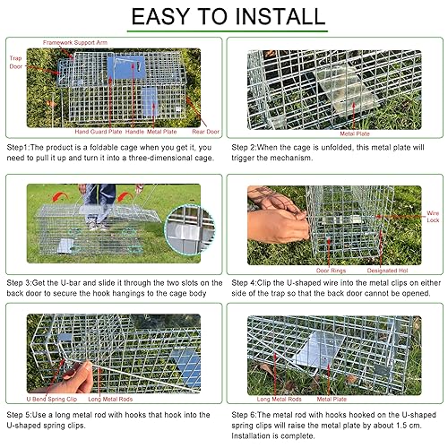 Live Animal Trap for Possum, Groundhog,Gopher,Beaver,Folding Raccoon Trap,Humane Live Animal Cage, Humane Small Animal Trap 32 X 12 X 12.5Inch Animal Trap,Catch & Release,Easy Installation and Use