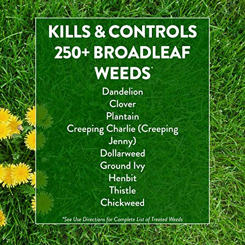GreenView Weed & Feed - 13 lb. - Covers 5,000 sq. ft.