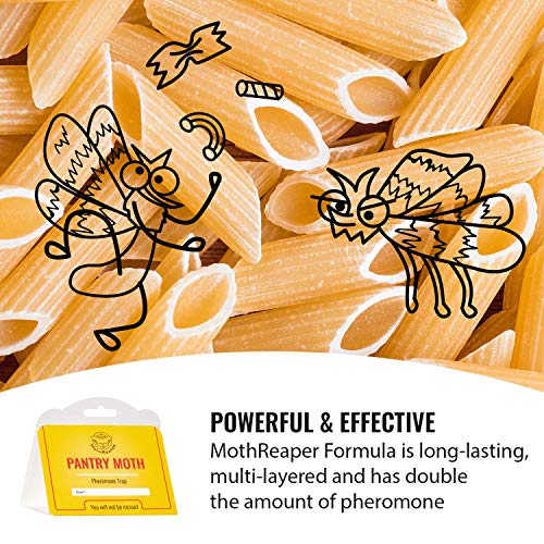 Pantry Moth Trap 6-Pack - Pantry Moth Glue Traps for House Pantry, Pantry Moth Traps for Food and Cupboard Moths, Pantry Moth Traps with Pheromones Prime Pest Trap Indian Meal Moth Traps for Kitchen
