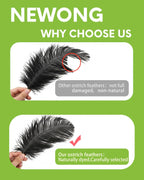 NEWONG 30pcs Black Ostrich Feathers Natural Bulk 13-16in(33-40cm) Vase Craft Wedding Home Party Centerpieces Christmas Day Decoration