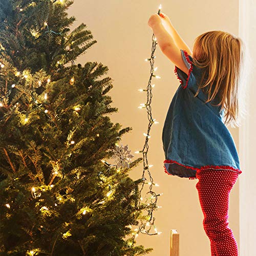 Green Convenience Christmas Lights 33ft 100 LED Battery String Lights with Timer Memory Function USB or Battery Powered Waterproof String Lights for Indoor Outdoor Decoration (Warm White)