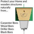 Best Bee Brothers Ultimate Pro Carpenter Bee Trap for Outside with Extra-Large, Clear External Receptacle, Internal Bee Vault & Spring-Loaded Door, 4.2” D x 5.8” W x 7.5” H (2 Pack)