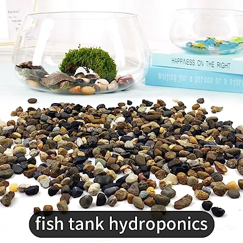 SHIZWU 10LB Aquarium Gravel, 1/4" Pea Gravel for Fish Tank, Small River Rocks for Garden Decoration, Landscaping, Vase Filling, Flower Pot Paving