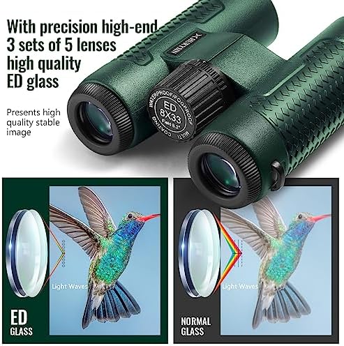 8x33 Binoculars – HD Optical System, Waterproof & Fogproof, Perfect for Hunting, Bird Watching, Hiking, Travel, 5-Year Replacement