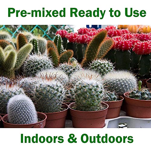 WONDER SOIL | Organic Cactus & Succulent Soil (12 Quarts). Fast Draining Ready to Plant Coco Coir Loaded w/Nutrients | 3 LBS Expands to 12 Quarts | Incl Worm Castings & Nutrients