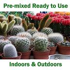 WONDER SOIL | Organic Cactus & Succulent Soil (12 Quarts). Fast Draining Ready to Plant Coco Coir Loaded w/Nutrients | 3 LBS Expands to 12 Quarts | Incl Worm Castings & Nutrients