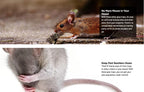 Harrier Hardware 24-Count Rat Mouse Snake Sticky Pest Baited Disposable Glue Traps Insect Spider Vermin