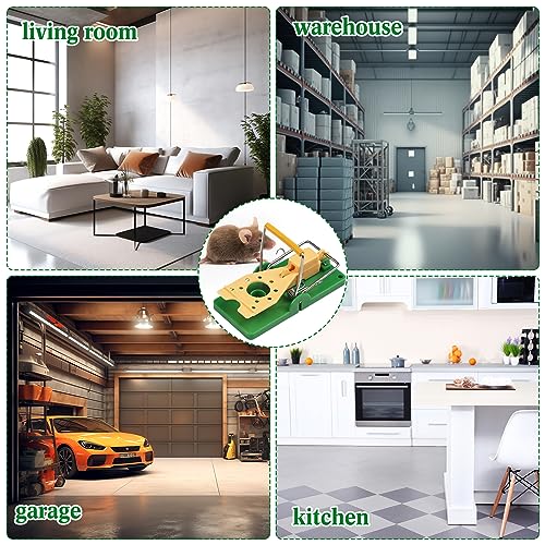 Qualirey 24 Pcs Mouse Traps Green Plastic Mice Trap Rat Traps House with Yellow Cheese Color Board Quick Sensitive Effective Mouse Trap Safe Reusable Sanitary Mice Traps for House, Garage, Outside