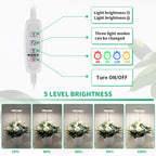 2 Pack Halo Plant Grow Light, 6000K White LED Full Spectrum Growing Lamp for Indoor Plants, Succulents, Mini Bonsai, Small Plants, Height Adjustable, Dimmable & Timer 4/8/12/18Hrs