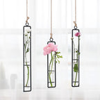 AODERUM Hanging Glass Planter Water Iron Art Hydroponic Vase Transparent Test Tube Flower Hanging Bottle Home Decoration (3pcs-S,M,L)