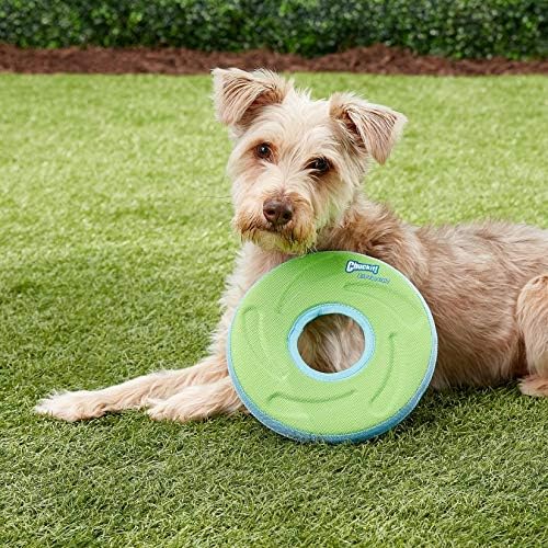 ChuckIt! Zipflight Flyer Dog Frisbee & Dog Toy that Floats; Gentle On Dog's Teeth and Gums; Medium