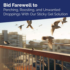Bird-X Bird Proof Gel, Sticky and Transparent Clear Gel, Long-Lasting and Easy to Use, Covers 10 Linear feet, 10 fl. oz., Pack of 1