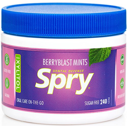 Spry Xylitol Berry Blast Mints Sugar Free Candy - Breath Mints That Promote Oral Health, Dry Mouth Mints That Increase Saliva Production, Stop Bad Breath, 240 Count (Pack of 4)