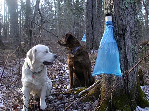 Maple Tree Tapping Replacement 5 mil Blue Sap Saks Bags 12-1/2" x 24" (Set of 10). Includes 20 Heavy Duty Cable Ties.