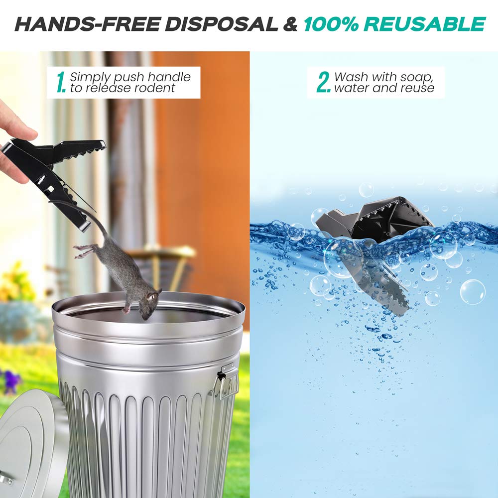 eXuby Large Powerful Rat Traps (6 Pack) - Kills Instantly with Powerful Steel Spring - Setup in Seconds - Wash & Reuse Over & Over - Hands Free Disposal - Rat Control Without Harmful Poisons or Chem