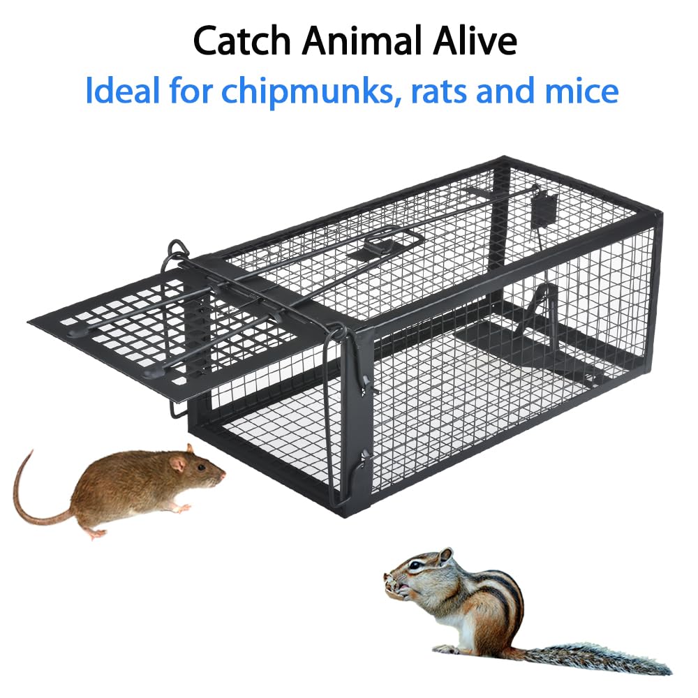 Gingbau Live Chipmunk Rat Trap Humane Vole Mouse Cage Trap