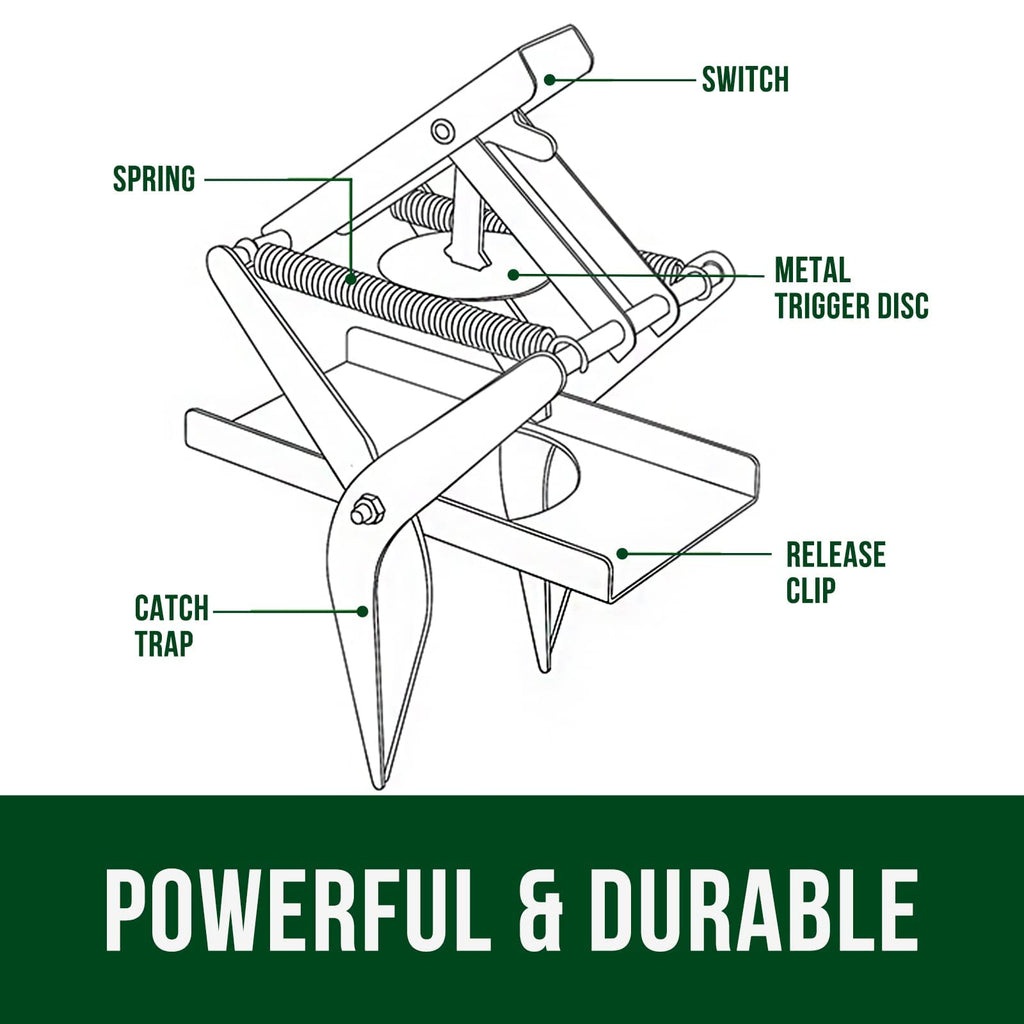 Garsum Scissor Mole Trap for Lawns, Mole Kill for lawns, EasySet Eliminator Vole Gopher Traps, Reusable Quick and Clean Kill,1 Scissor Trap