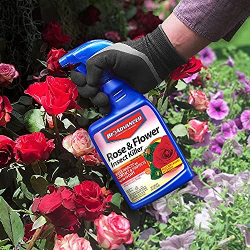 BioAdvanced Rose and Flower Insect Killer, Ready-to-Use, 24 oz (Pack of 2)