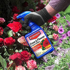 BioAdvanced Rose and Flower Insect Killer, Ready-to-Use, 24 oz (Pack of 2)