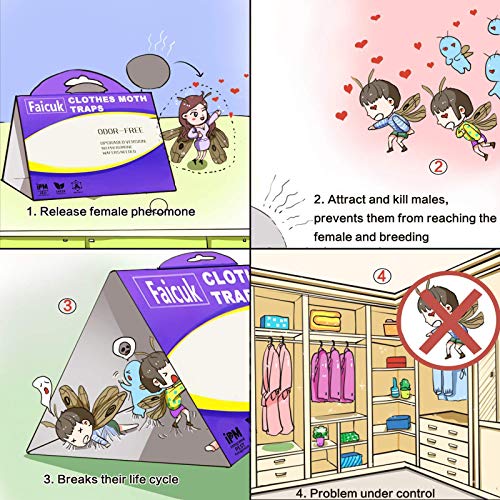 Faicuk Clothes Moth Traps with Pheromone Attractant for Closet and Carpet (6 Pack)
