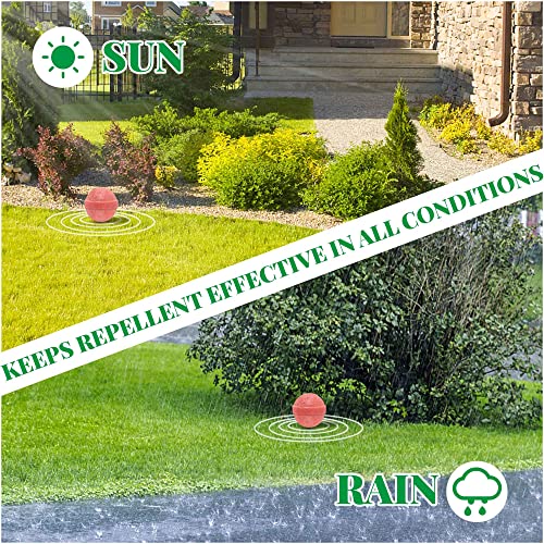 12 Pcs Natural Mouse Repellent Peppermint Oil to Repel Mice and Rats, Rodent Repeller for Car Engines Home Kitchen Indoor Outdoor,Keep Moles & Voles Out of Your Lawn and Garden, Pet Safe