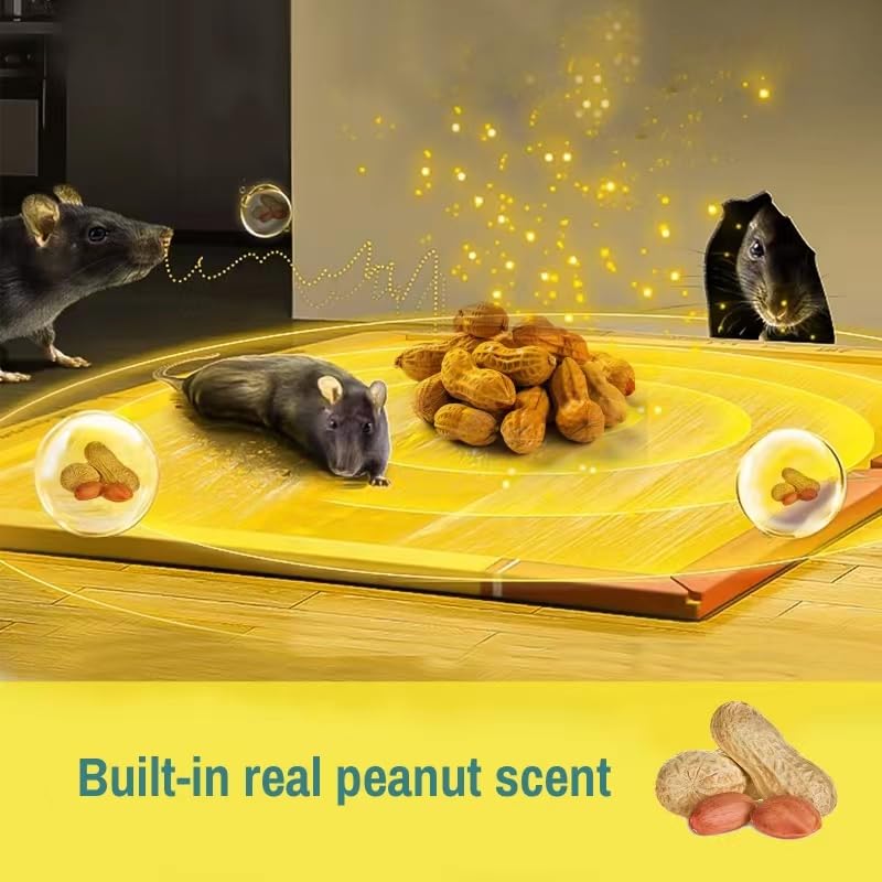 ZingZap 13-Pack Mouse & Insect Glue Traps/Board, Sticky Trap for Crawling Pests, Rats & Mice Extra Heavy & Sticky, Built-in Peanut Scent for 2X Faster Catch, Biodegradable, Indoors Home & Commercial