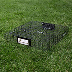 Rugged Ranch Squirrelinator 2 Door Small Metal Wire Pest Control Animal Cage Trap for Live Chipmunk, Squirrel, Rat, Mouse, and Rodent, Black
