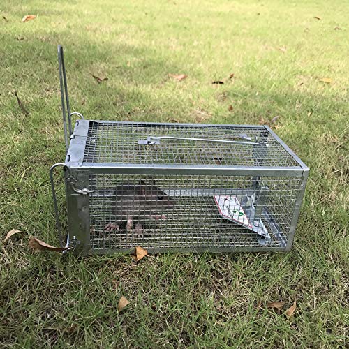 Kensizer 2-Pack Animal Humane Live Cage Trap That Work for Rat Mouse Chipmunk Mice Voles Hamsters and Other Small Rodents, Trampa para Ratones, Catch and Release