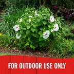 Sevin Insect Killer Dust 4-pack 1 Pound