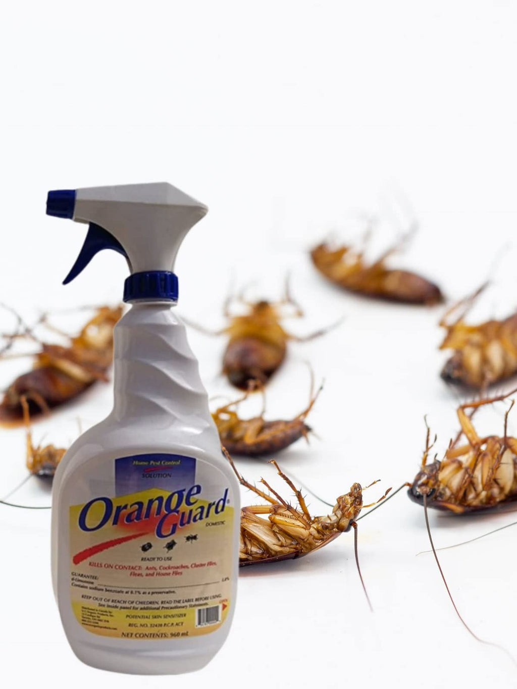 Orange Guard Home Pest Control Spray with D-Limonene | All-Natural Food Grade Orange Peel Oil for Bugs, Ants, Roaches, Fleas, Palmettos and Silverfish - 32oz