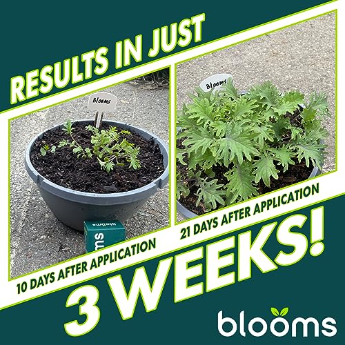 Blooms Super Sprout | All-Purpose Liquid Plant Food for Home Gardening | Ready-to-Use 10-3-3 Foliar Spray Kelp for Indoor and Outdoor Plants | Micronutrients for Sustainable and Vibrant Plant Growth