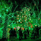Dazzle Bright Fairy Lights Battery Operated, 2 Pack Total 40FT 120LED Silver Wire Waterproof String Lights, Christmas St. Patrick's Day Decorations for Indoor Outdoor Bedroom Yard Decor, Green