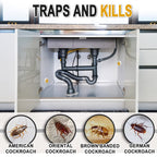 DALIYREPAL Roach Repellent,Cockroach Repellent,Roach Away, Roach Repeller for Indoor/Outdoor Use,Cockroach Deterrent, Roach Control, 8 Count Effectively Roach Control Safe Around Pet & Plant