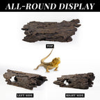 Large Reptile Hide Leopard Gecko Tank Accessories Driftwood for Aquarium Natural Hollow Log for Betta Fish Hideout Bearded Dragon or Ball Python Tank Accessories(13.8")