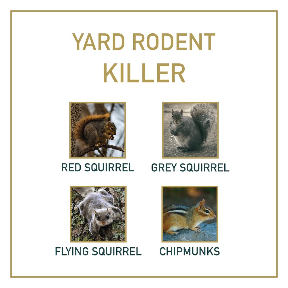 Little Killer Squirrel Trap for Squirrel & Chipmunk Removal in Homes Gardens Bird Feeders | Wood Choker Style Animal Traps for Yard Rodents | USA Made | Quick & Clean Kill Lethal Trap | Rust Resistant