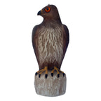 Bird B Gone Plastic Hawk Decoy to Scare Birds Away, Bird Deterrent Devices Outdoor, 16 Inch Fake Hawk Statue, Natural Bird Scarecrow for Garden