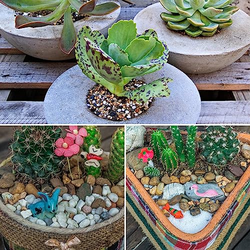 SHIZWU 10LB Aquarium Gravel, 1/4" Pea Gravel for Fish Tank, Small River Rocks for Garden Decoration, Landscaping, Vase Filling, Flower Pot Paving