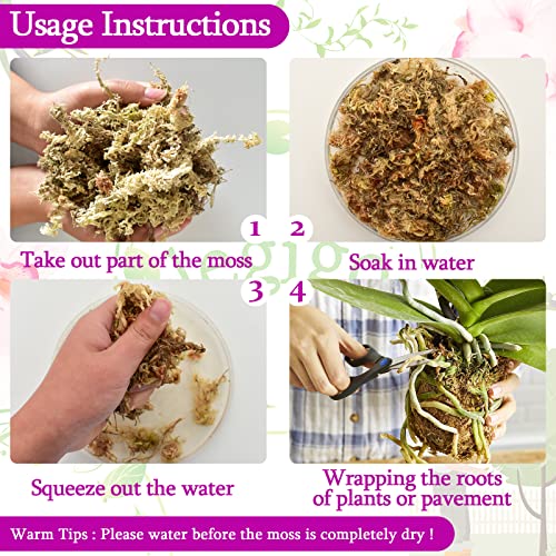 Legigo 2.2LBS Premium Sphagnum Moss for Plants 40QT Natural Succulent Carnivorous Plant Moss Dried, Long Fiber Orchid Moss for Repotting Succulent Sarracenia Potted Plants Gardening and Reptiles