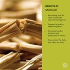 Banyan Botanicals Organic Shatavari Powder – Asparagus racemosus – Ayurvedic Herb for Vata & Pitta, Balanced Female Hormones, Energy, Vitality & More* – 1lb. ­– Non-GMO Sustainably Sourced Vegan FFL