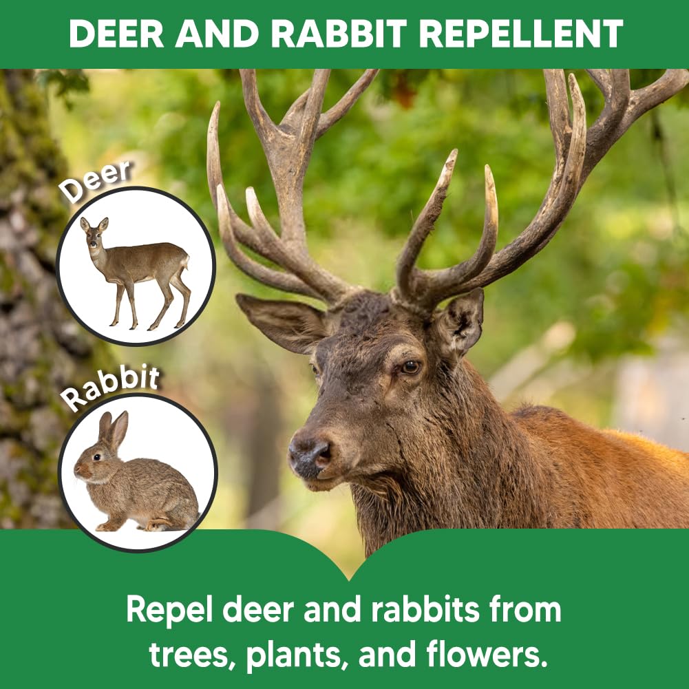 AMDEIUR Deer Repellent for Plants, Rabbit Repellent Outdoor, Deer Deterrent for Yard, Bunny Repellent, Deer Away, Keep Rabbits Out of Your Garden, Safe for Family, Pets and Plants, 8 Packs