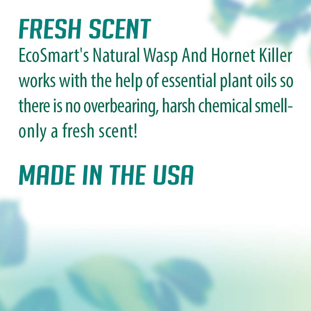 ecoSMART 33510 Wasp & Hornet Killer, 9 oz. - Quantity 1