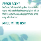 ecoSMART 33510 Wasp & Hornet Killer, 9 oz. - Quantity 1