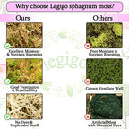 Legigo 2.2LBS Premium Sphagnum Moss for Plants 40QT Natural Succulent Carnivorous Plant Moss Dried, Long Fiber Orchid Moss for Repotting Succulent Sarracenia Potted Plants Gardening and Reptiles