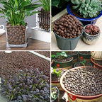 Malifea 10LBS Leca Expanded Clay Pebbles Hydroponics Supplies for Indoor Garden Plants