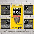 Harris Rat Glue Traps, Fully Disposable (2-Pack)